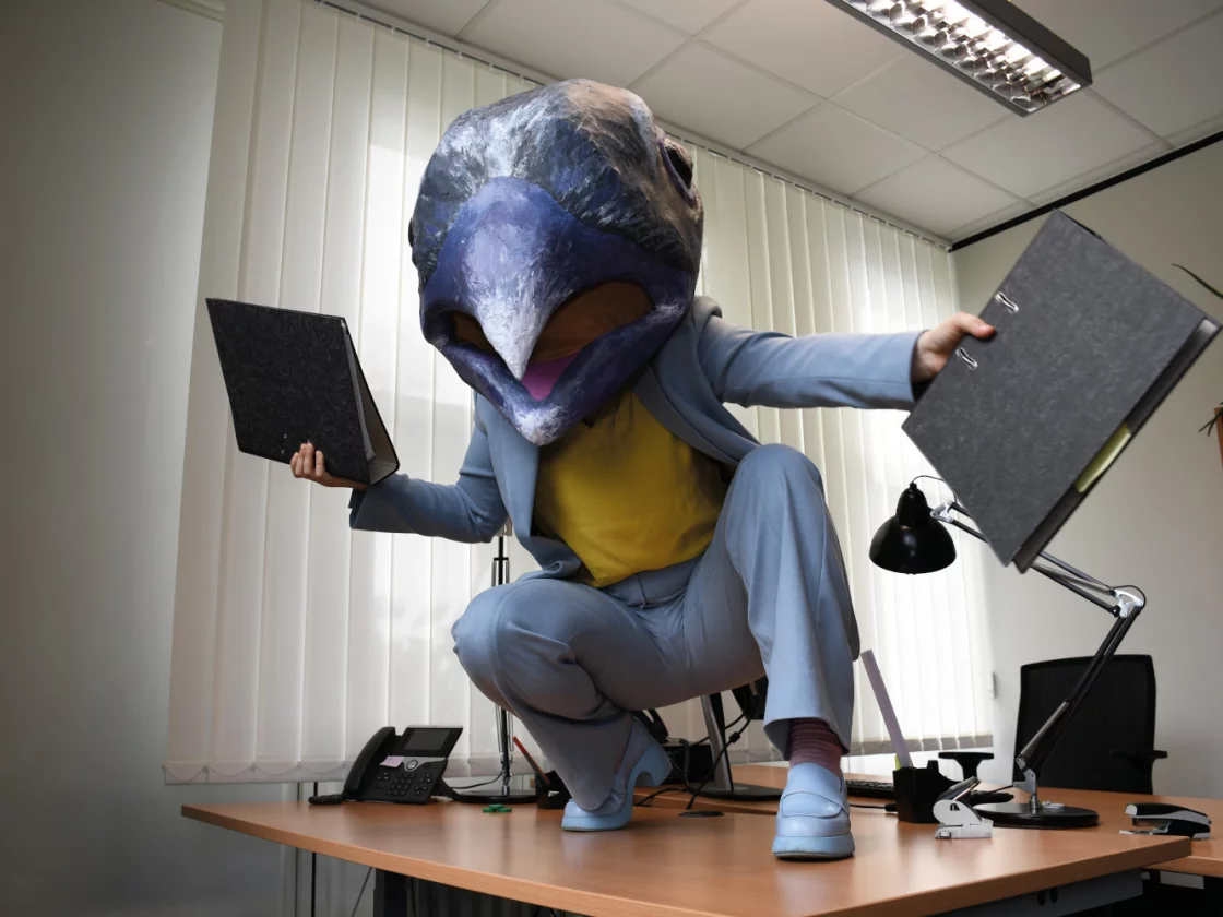 Mensch mit einer Tauben-Makse hockt auf einem Schreibtisch in einem Büro, in jeder Hand einen Leitz Ordner.